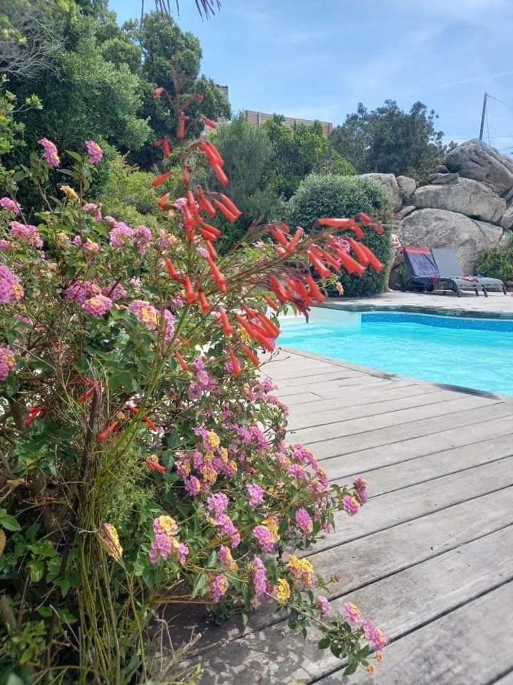 Residence Stella D'Oro Porto Vecchio Exterior foto